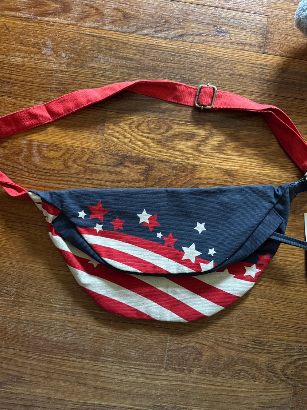 NWT Sand Cloud American Bum Bag